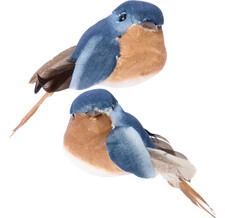 Елочная игрушка Птица Синица 8 см синяя с бежевой грудкой, 2 шт, клипса Kaemingk